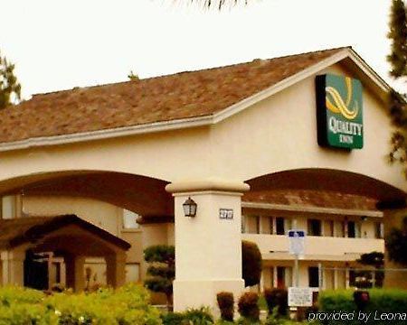 Quality Inn סטוקטון מראה חיצוני תמונה